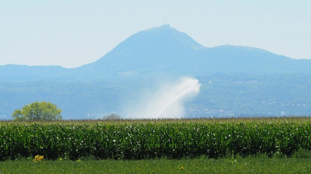 Arrosage du maïs en Limagne