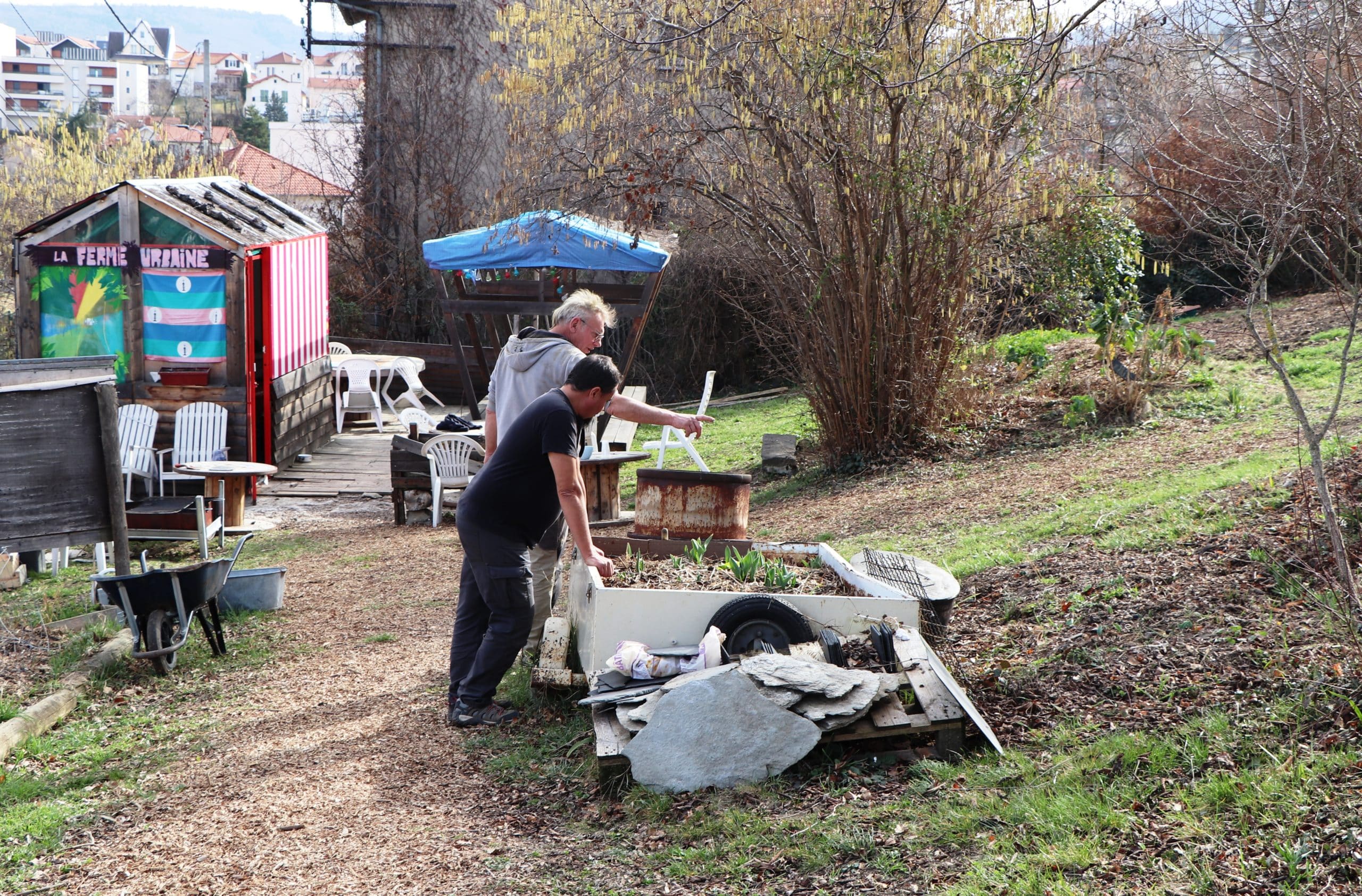 Laurent et Lionel examinent les plantations