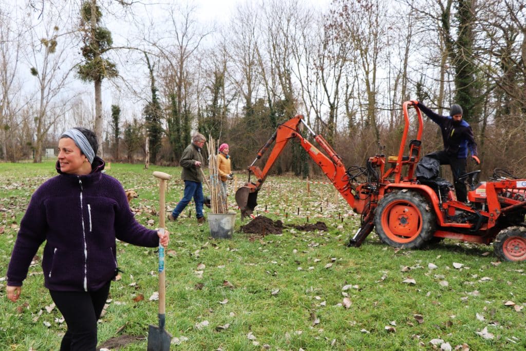 Plantation de fruitiers à Persignat