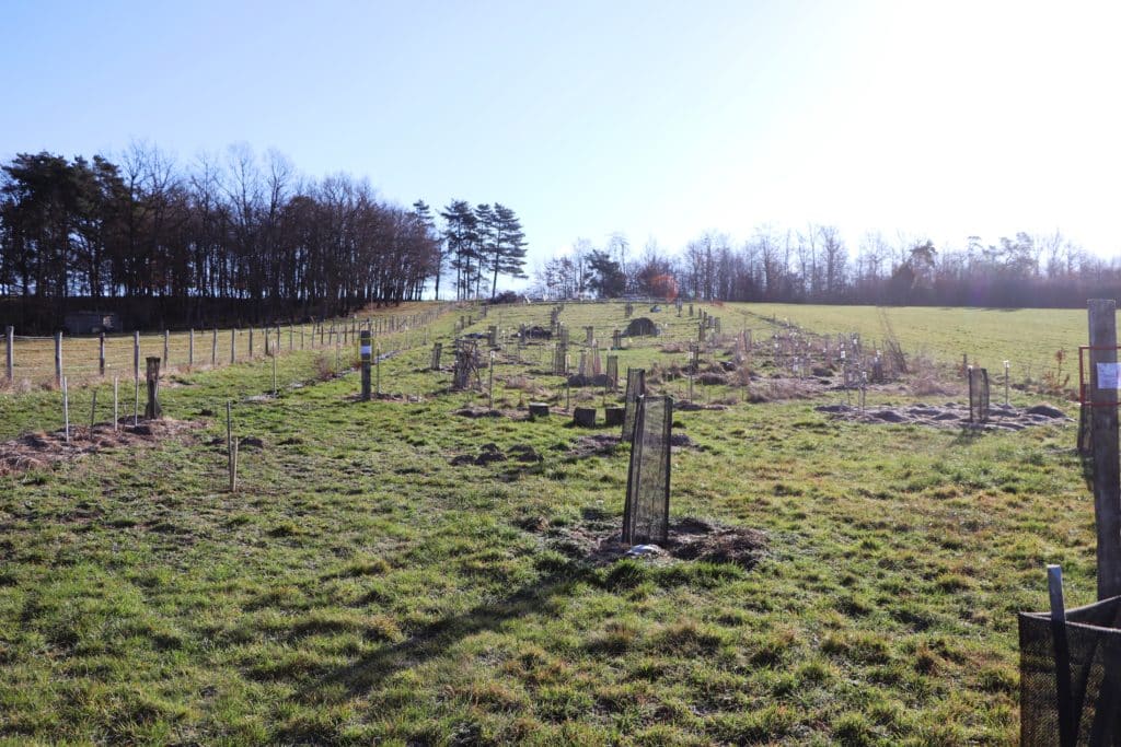 La Cartade, vue générale de la parcelle