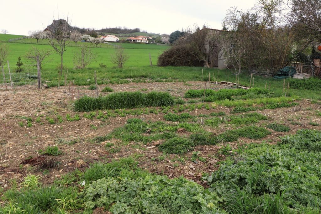 Jardin Pierre Feltz espace des fleurs en test