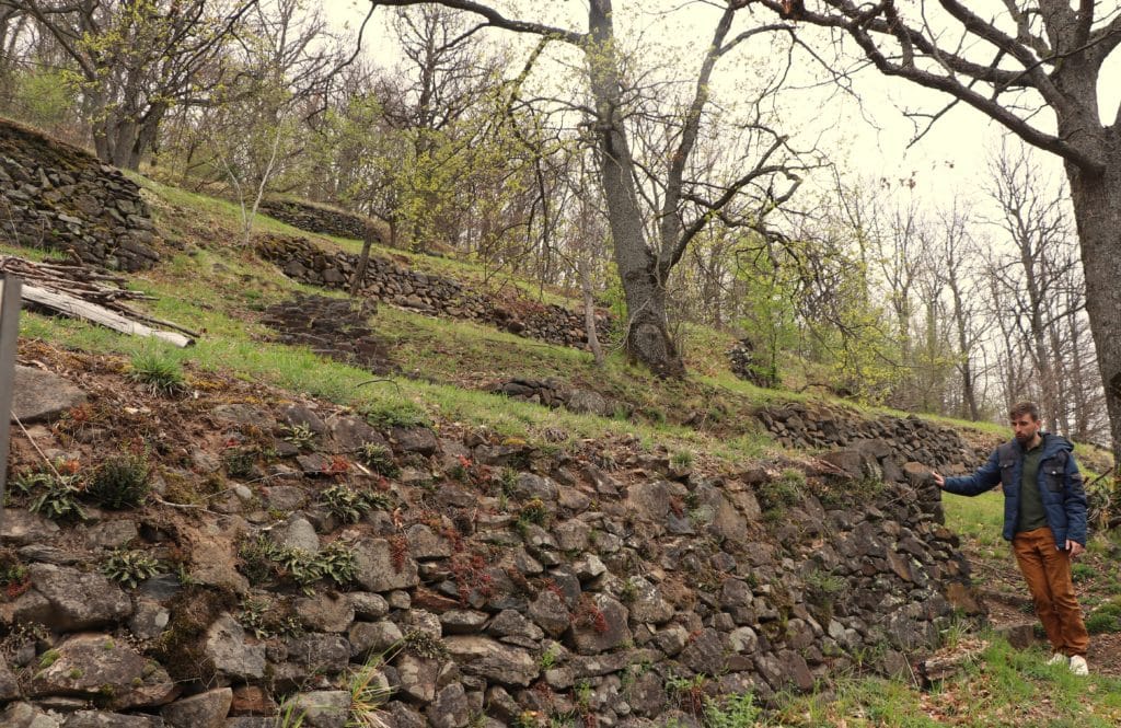 Grégoire Verrière devant un mur en pierre sèche