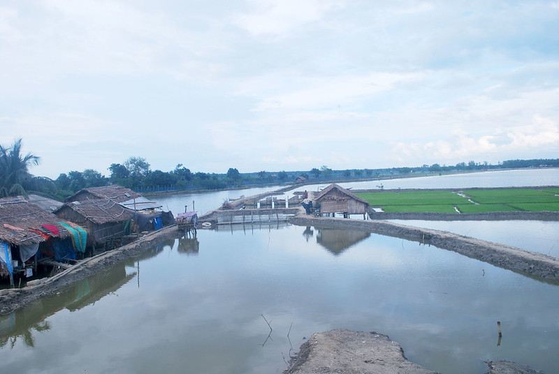 Autre exemple de communs négatifs : les polders du Bangladesh