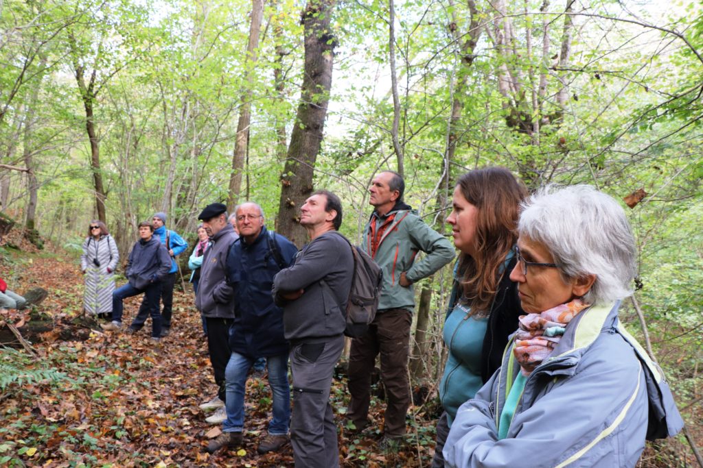 Groupe visitant une forêt Sempervirens