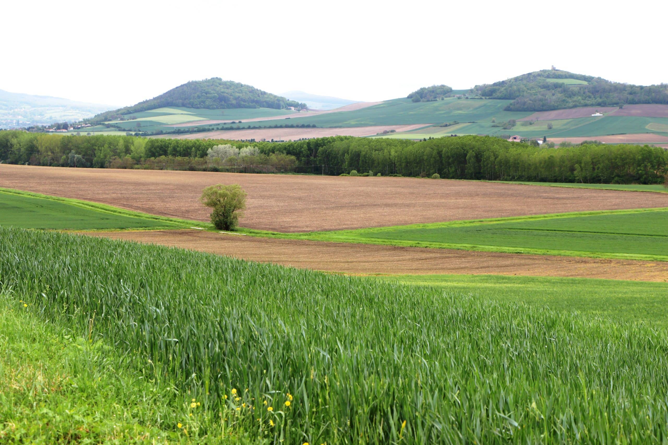 Les Turlurons vus de Moissat où un agriculteur participe au projet des bassines