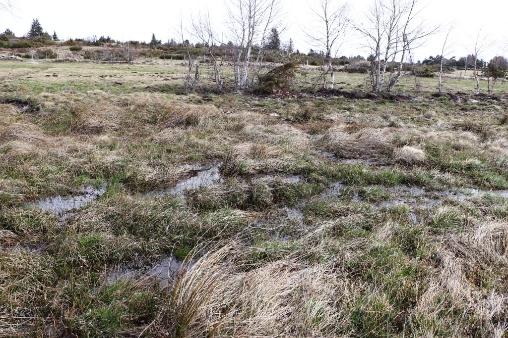 Ressource en eau et zone humide