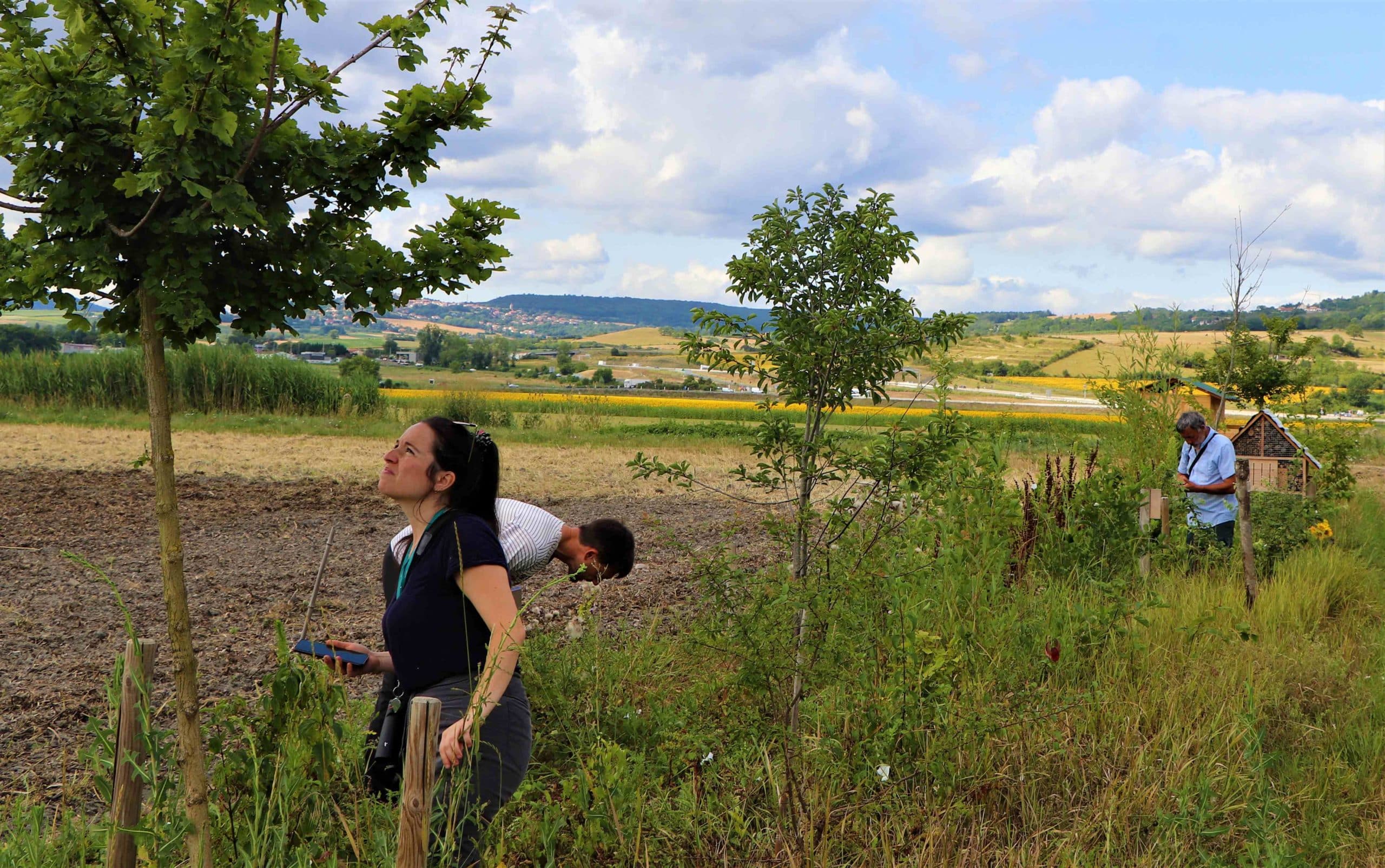 Tout savoir sur « Les plantes sauvages » - Info Clermont Métropole