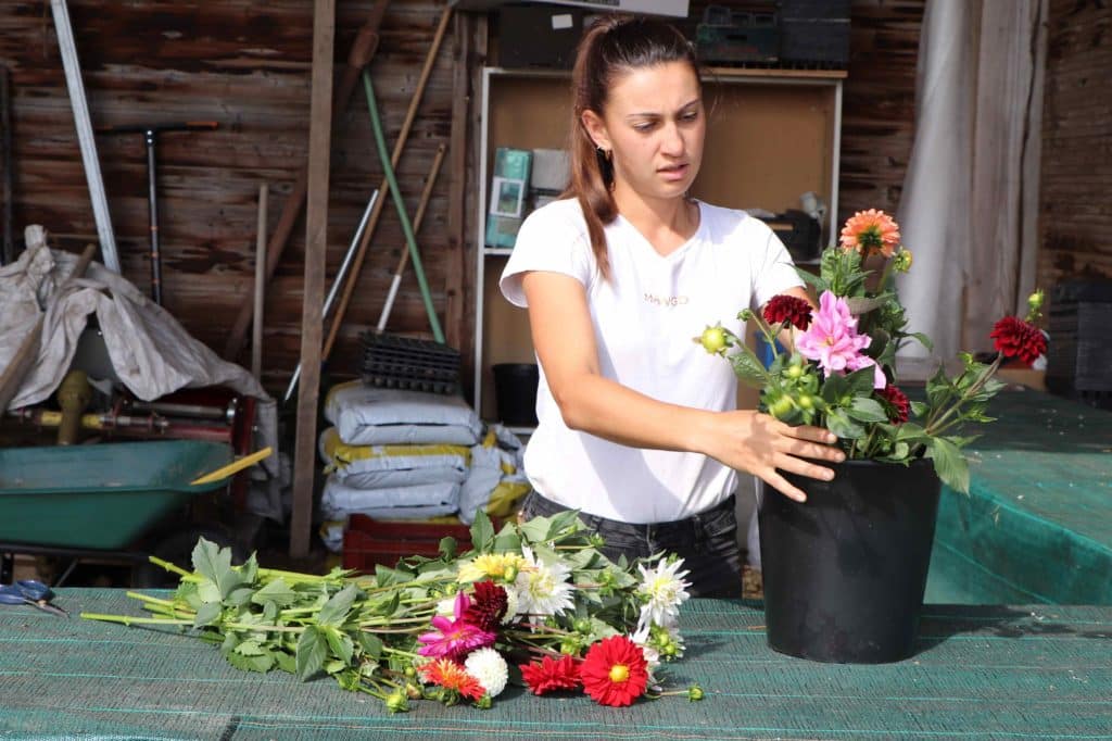 Suzanne et les fleurs fraîchement coupées