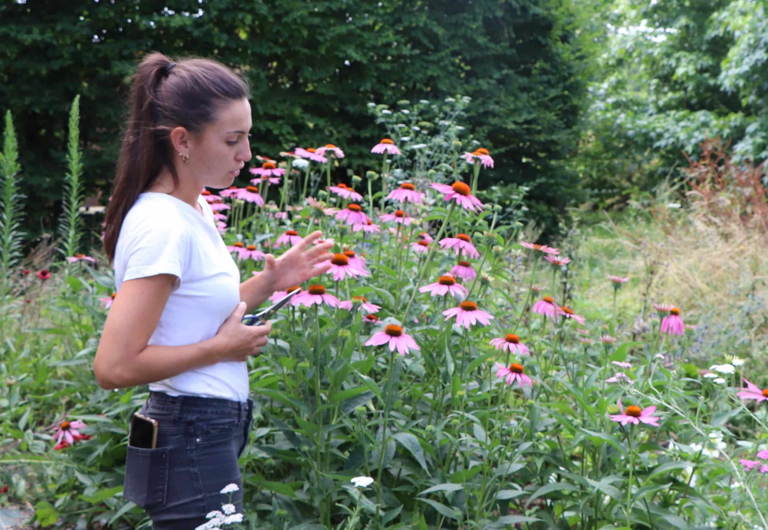 Fleurs Suzanne