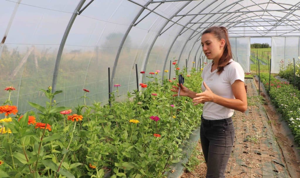 Suzanne devant les zinnias