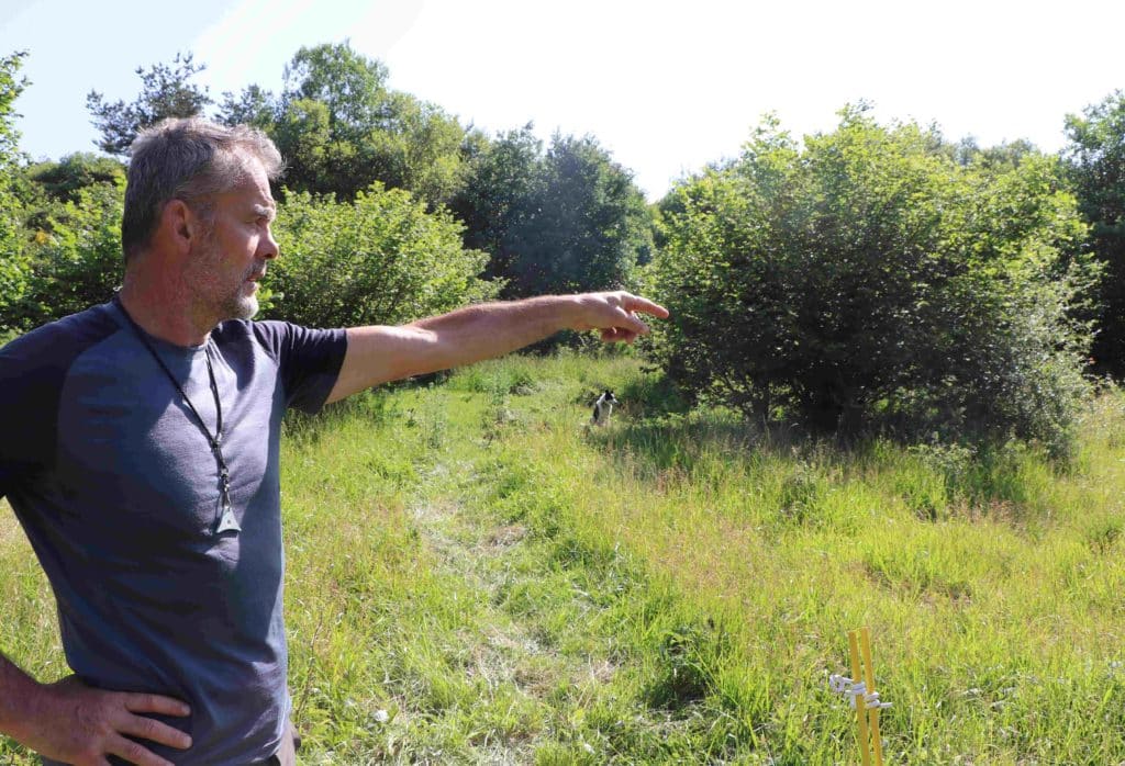 Rémi devant le pâturage où on distingue le layon