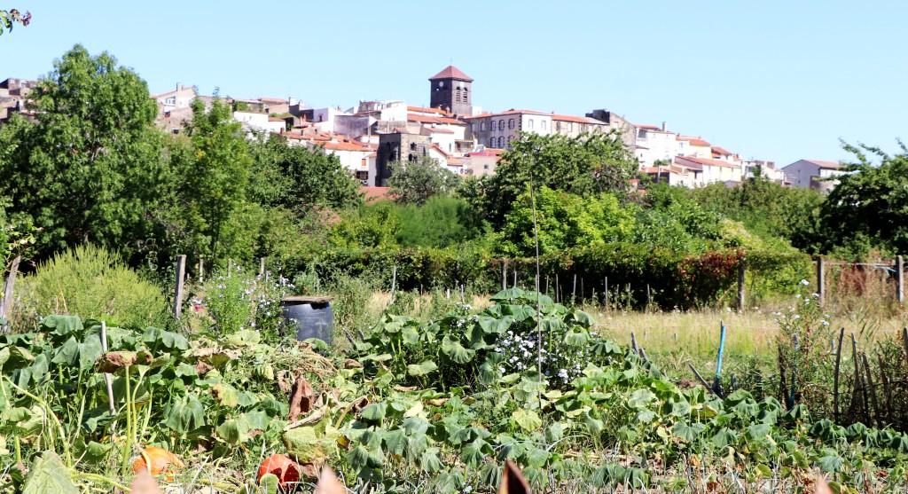 Un potager de la zone des jardins avec le vieux Beaumont en arrière plan