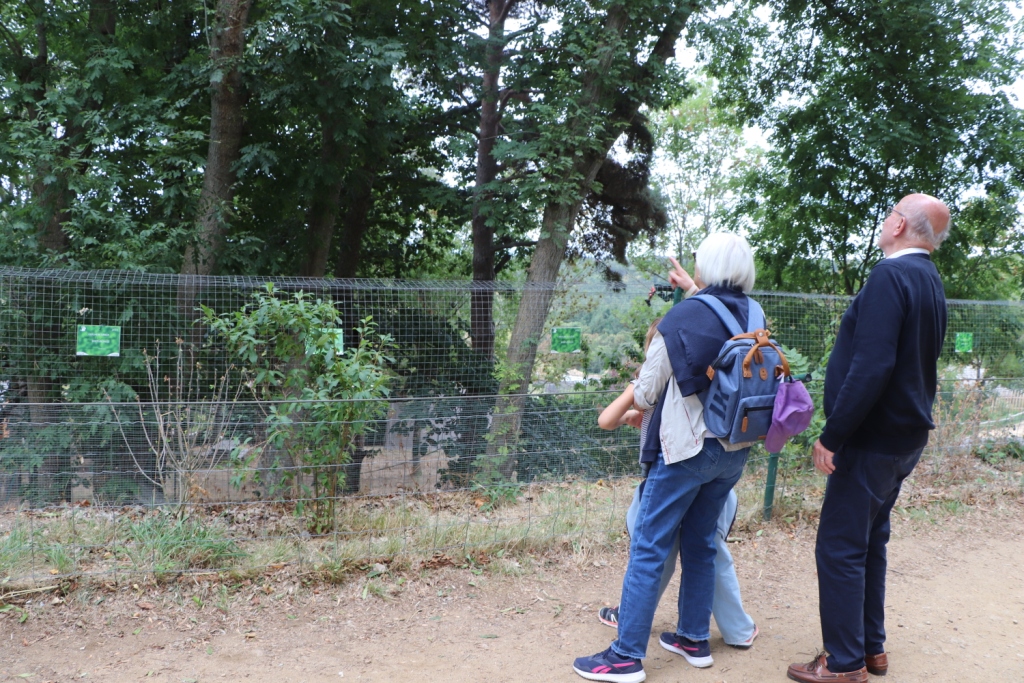 Visiteurs devant l'enclos des binturongs et des écureuils du parc animalier