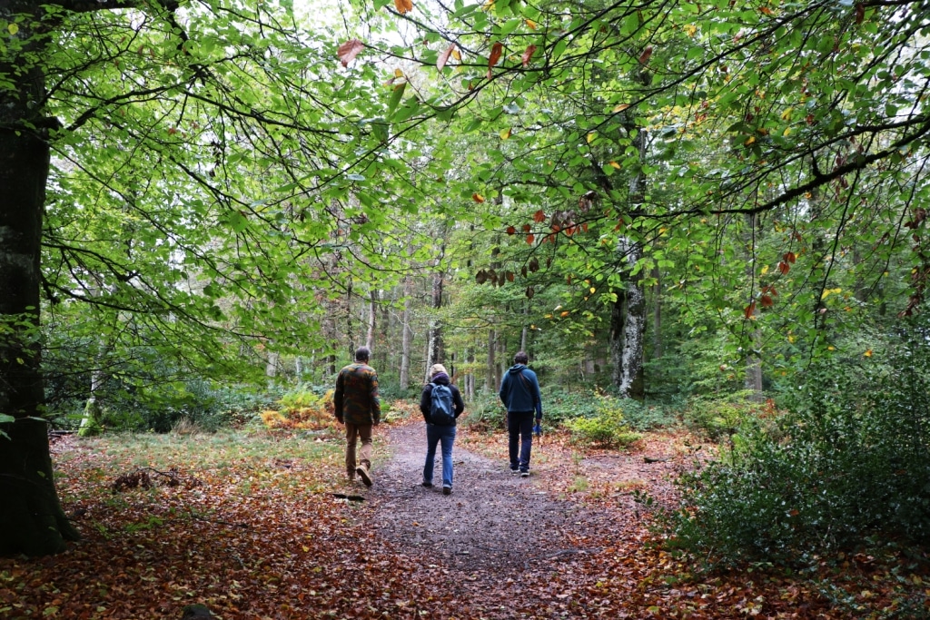 Mes interlocuteurs dans la forêt des Colettes