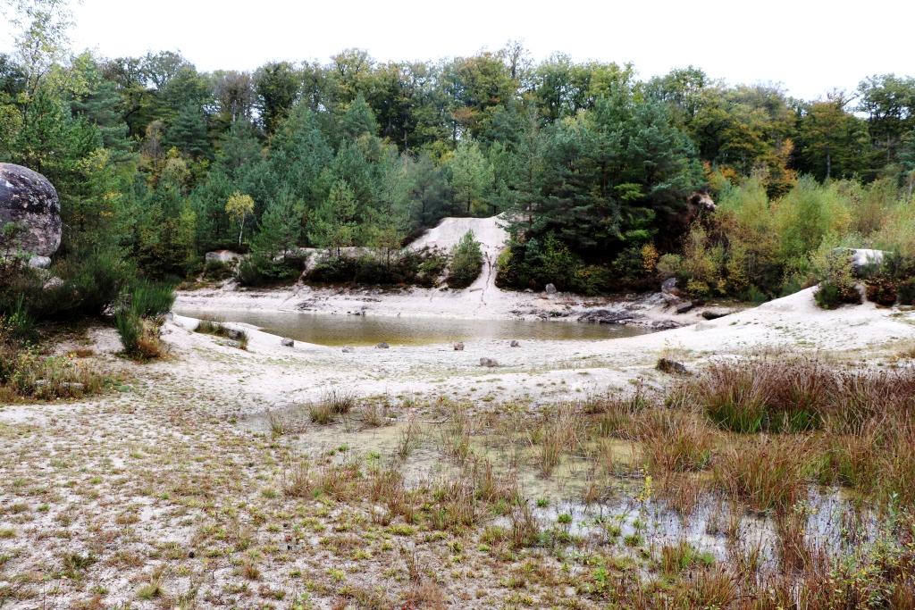 Ancienne carrière de kaolin formant une clairière dans la forêt des Colettes