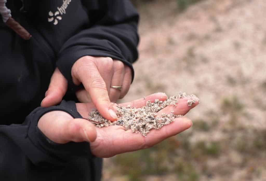 Les graviers de l'ancienne carrière dans la main de Béatrice