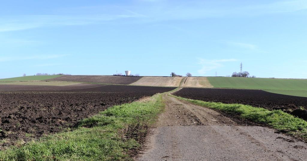 Paysage de la Limagne