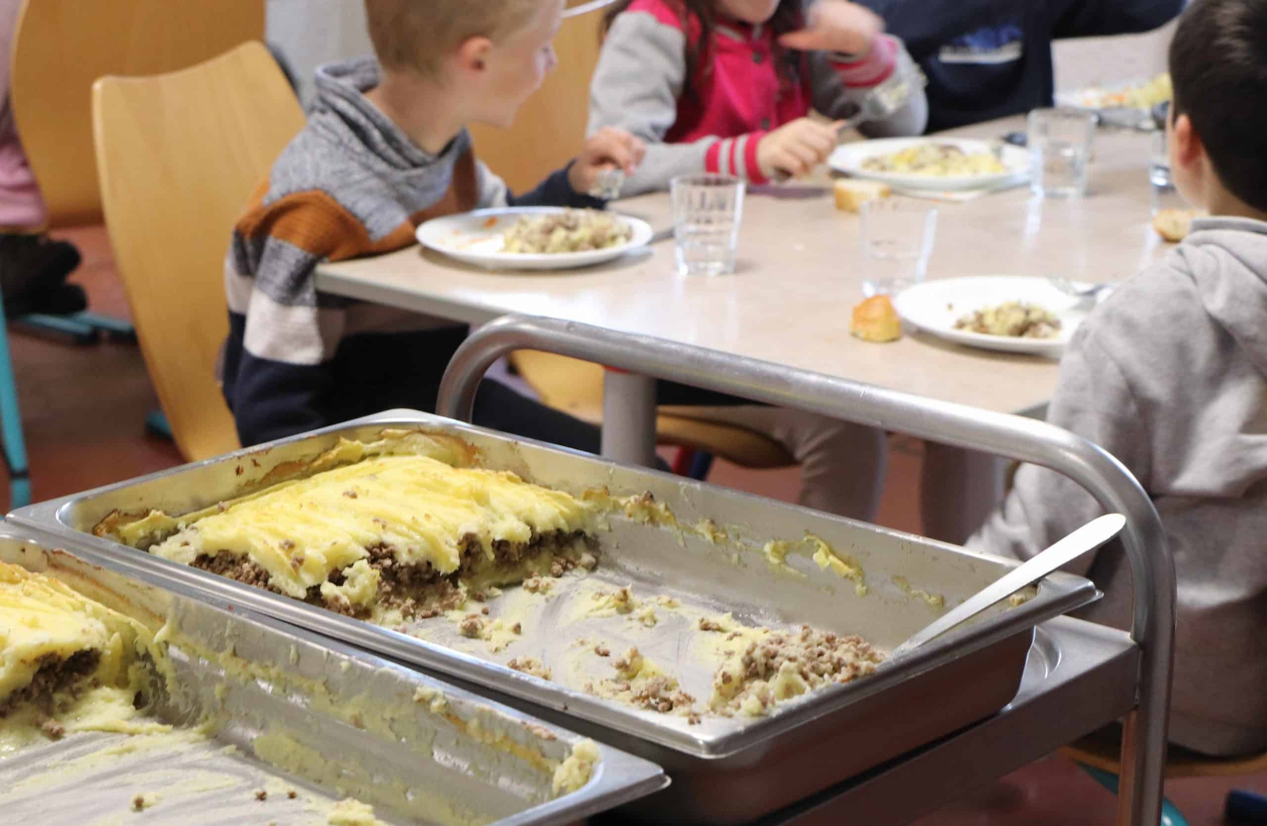 La cantine à Job, jour de hachis parmentier