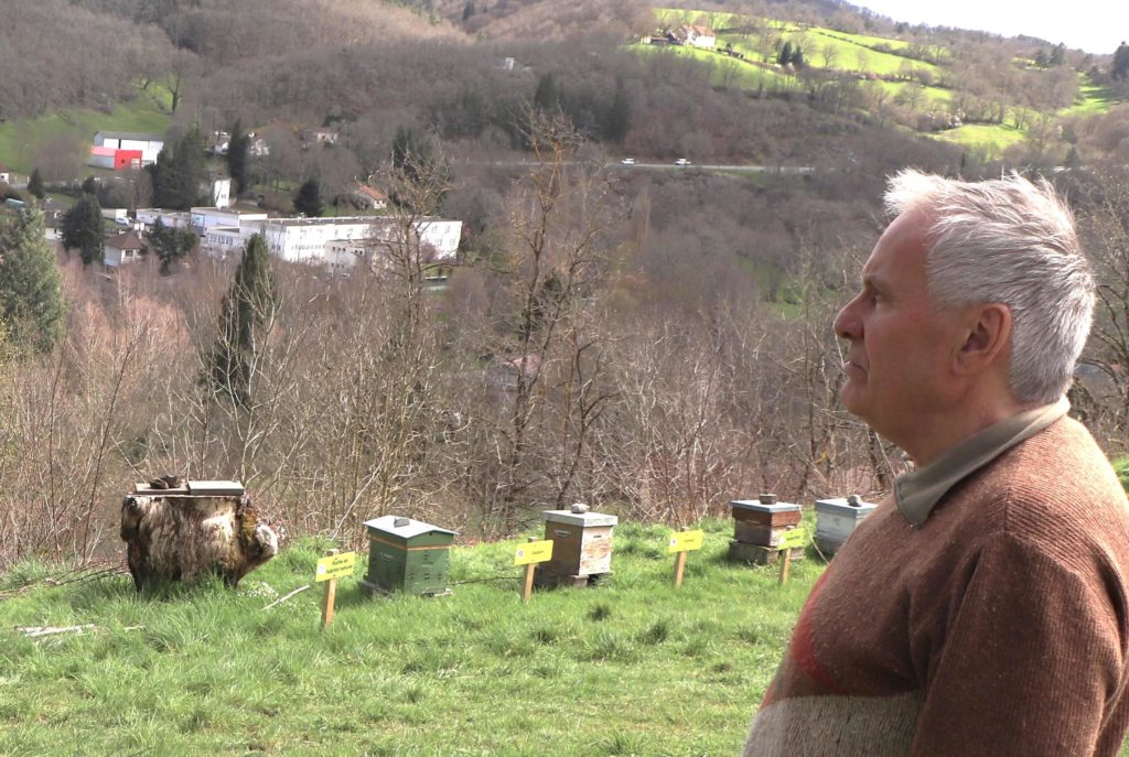 Noël Mallet devant des ruches de diverses catégories