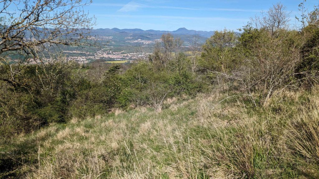 Trouée dans la verdure avec le puy de Dôme à l'horizon