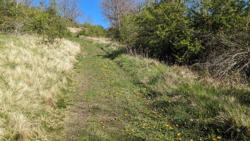 chemin Saint-Romain