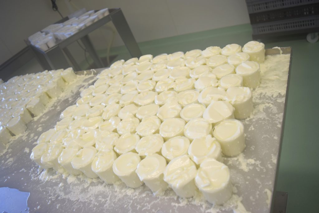 Fromage blanc en cours de fabrication dans la laiterie