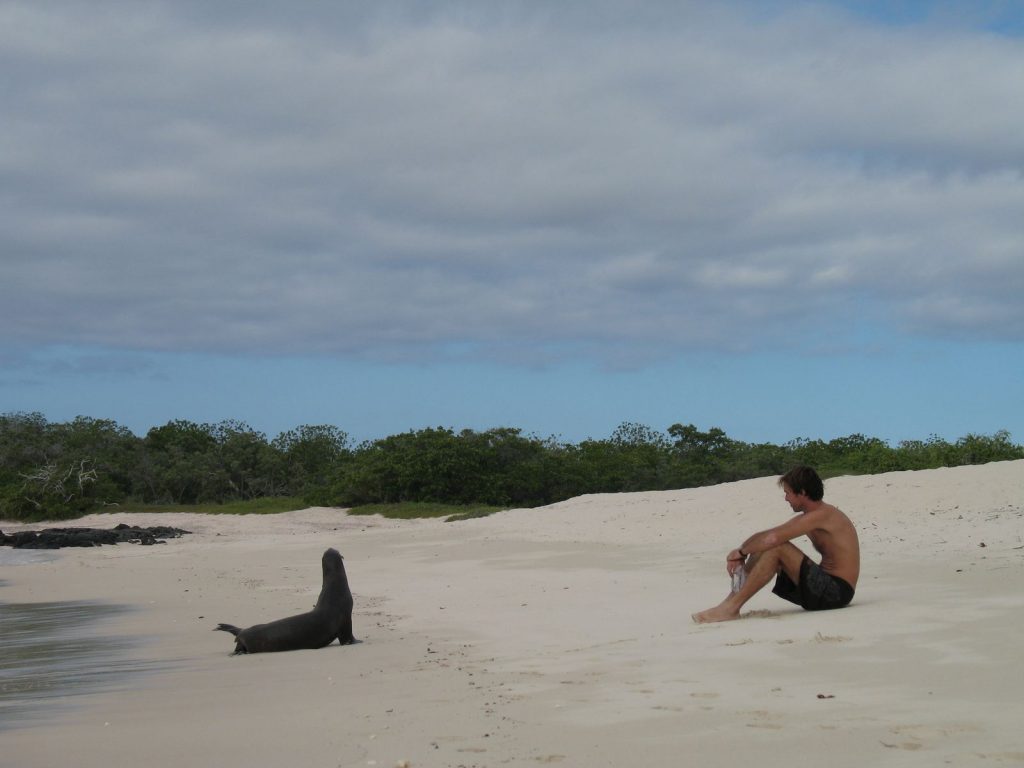 Marc sur une plage des Galapagos, face à une otarie