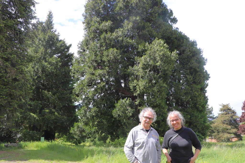Le couple posant dans le parc, devant le plus gros calocèdre de France