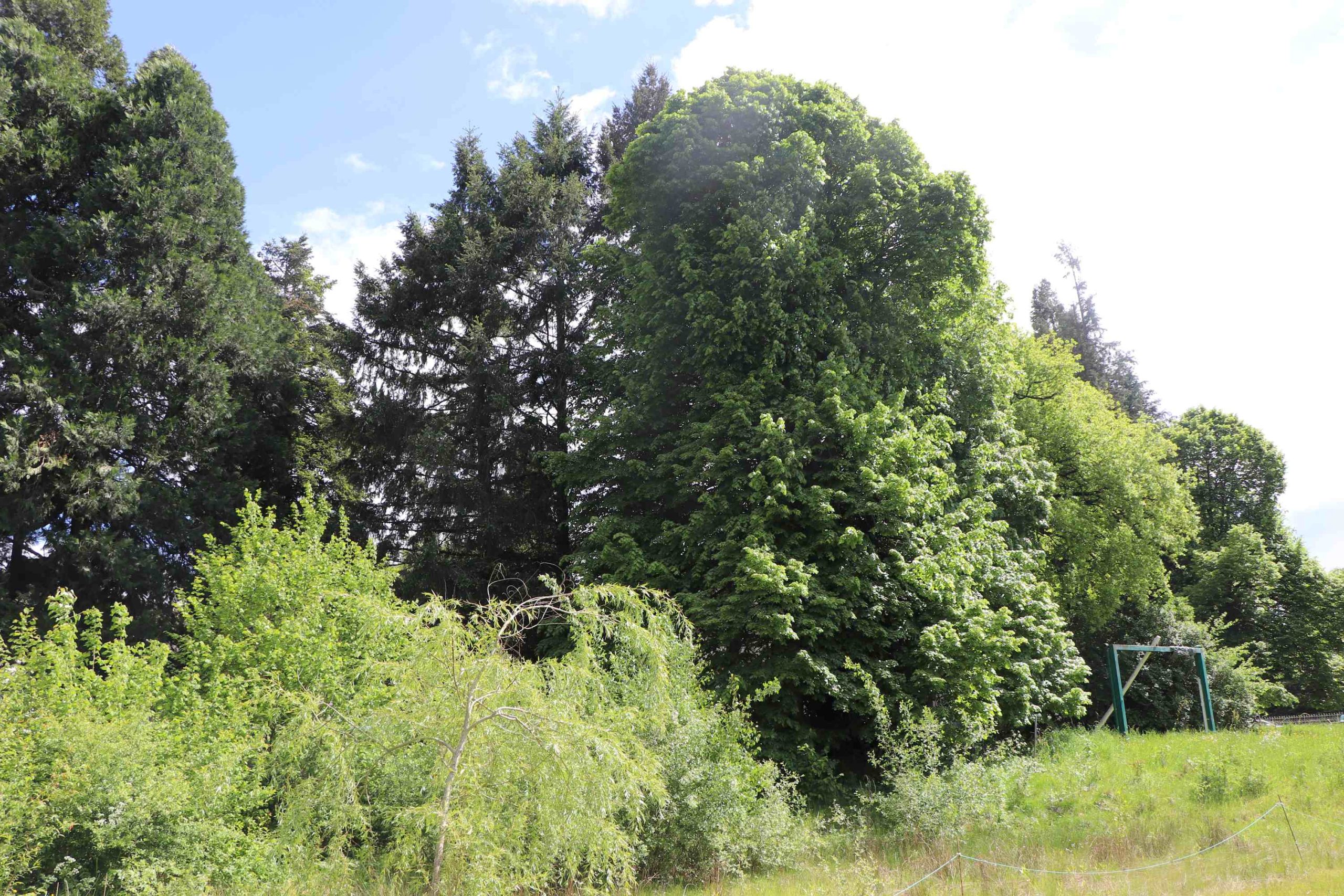 Le domaine de la verdure