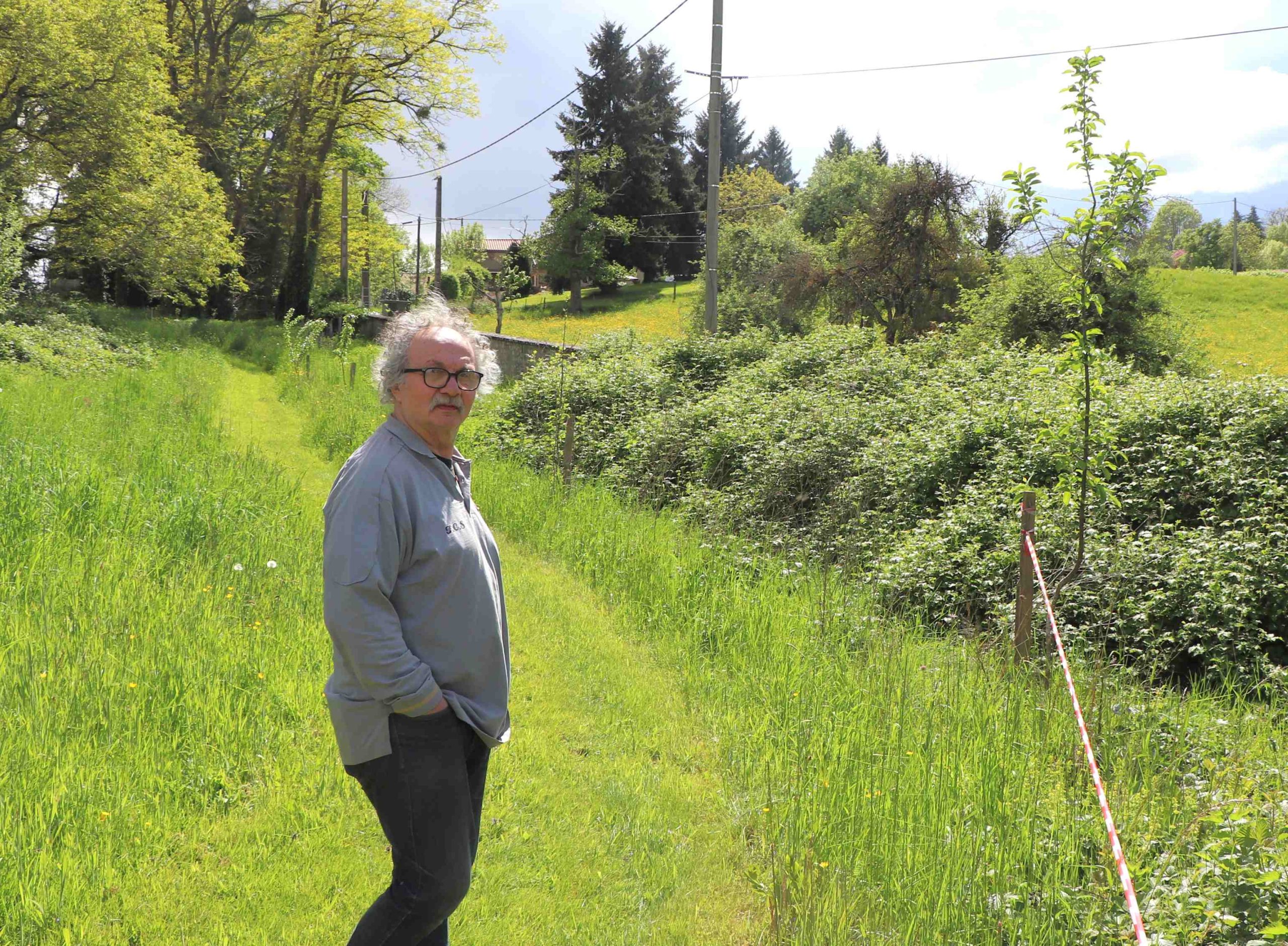 L'allée des fruitiers
