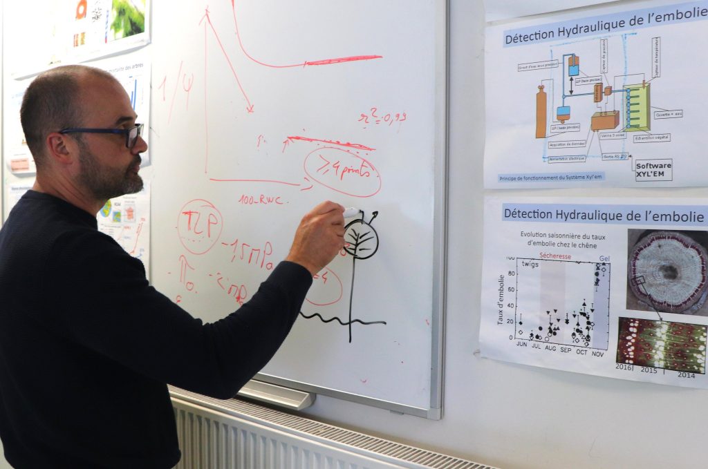 Stéphane Herbette dessinant au tableau