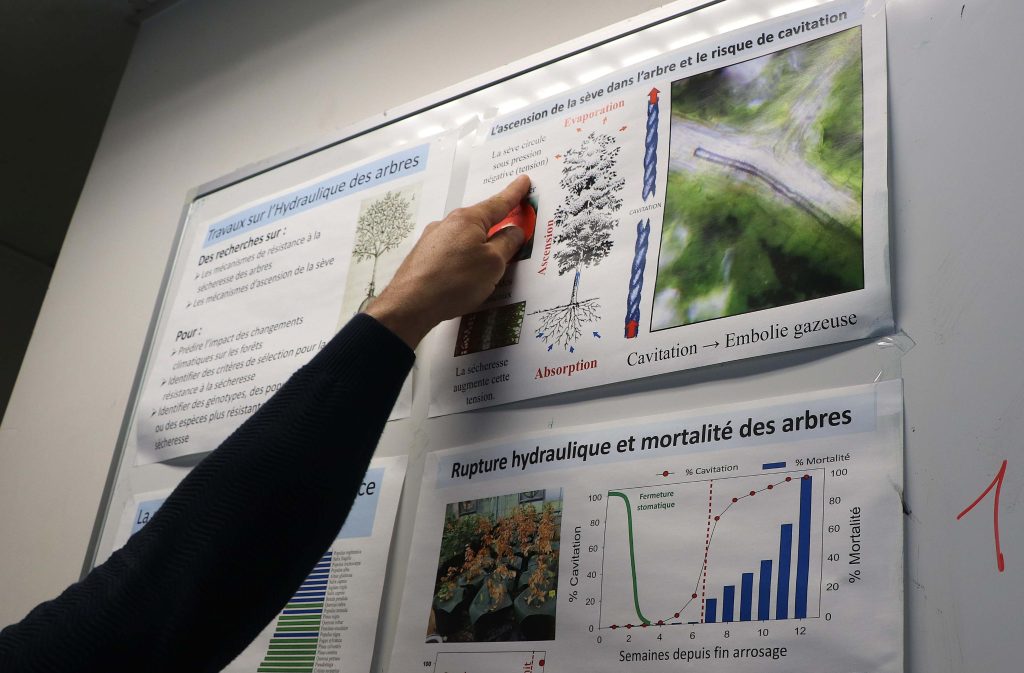 Graphiques et schémas affichés au tableau expliquent le phénomène de l'embolie gazeuse