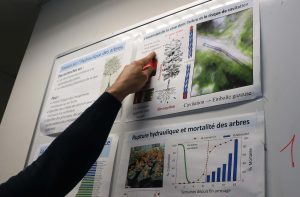Graphiques et schémas affichés au tableau expliquent le phénomène de l'embolie gazeuse