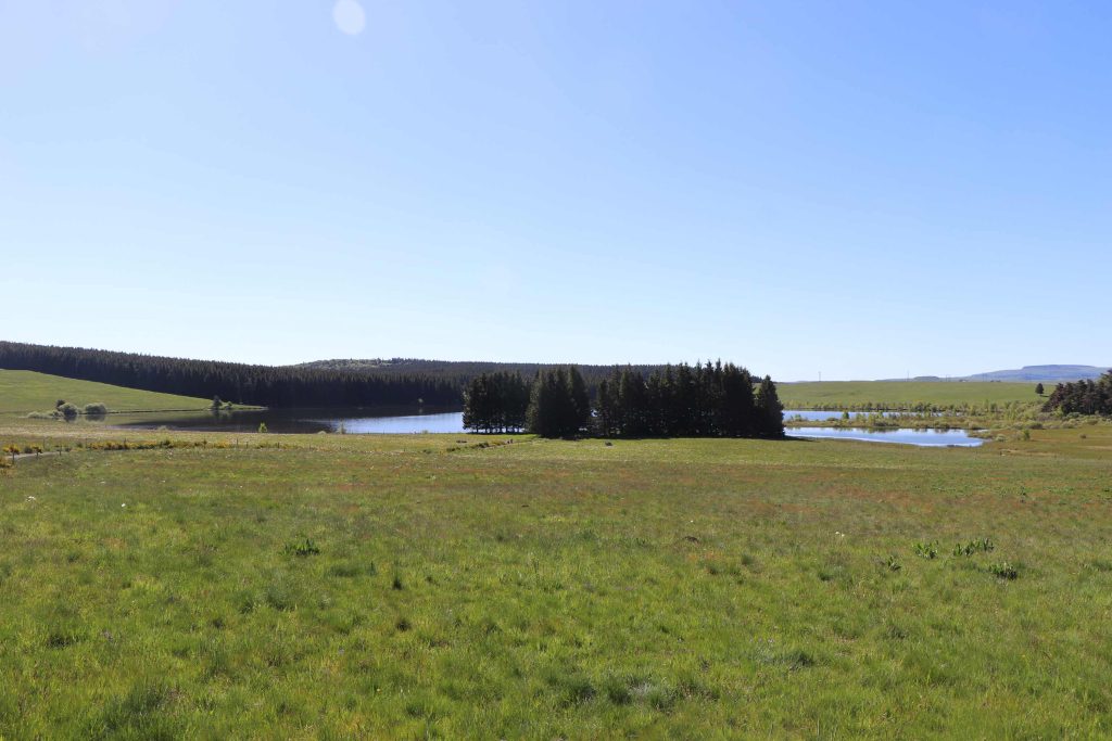 Vue du lac de Bourdouze et des prés alentour