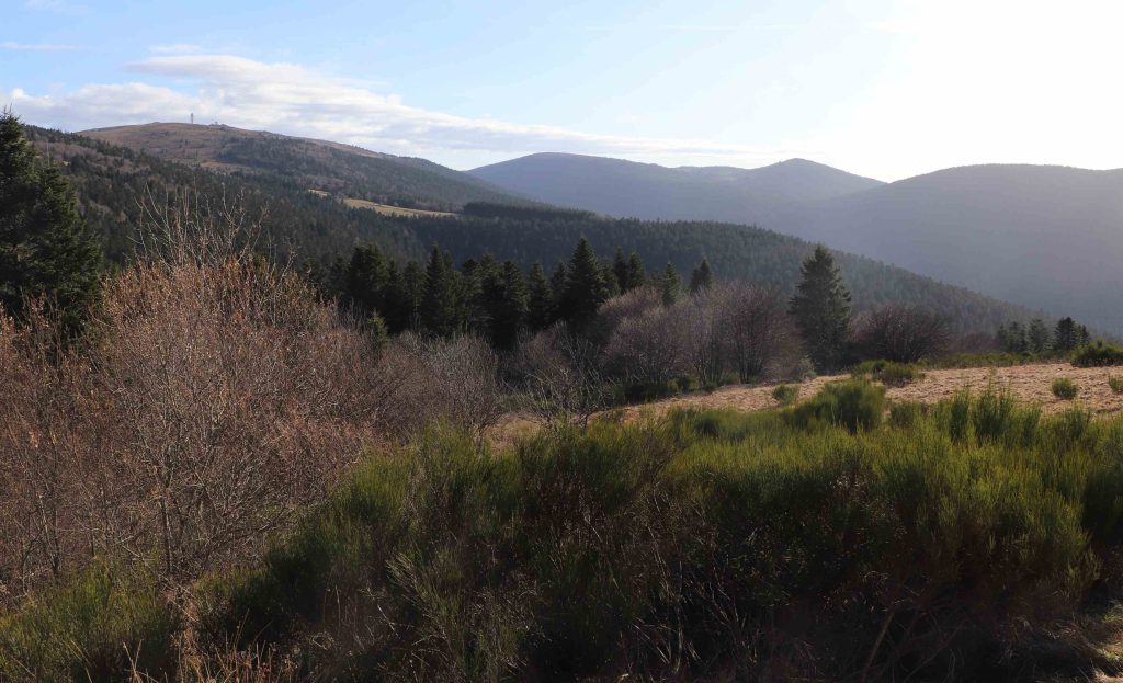 Paysage du Forez, dominé par son point culminant de Pierre-sur-Haute.