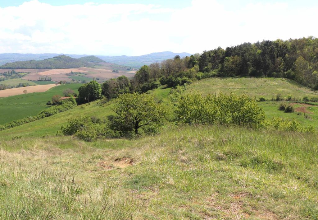 Puy de Pileyre au premier plan et Turlurons dans le lointain