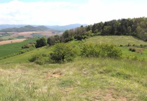 Puy de Pileyre au premier plan et Turlurons dans le lointain