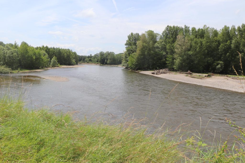 L'Allier à Maringues, entre falaises et bancs de galets