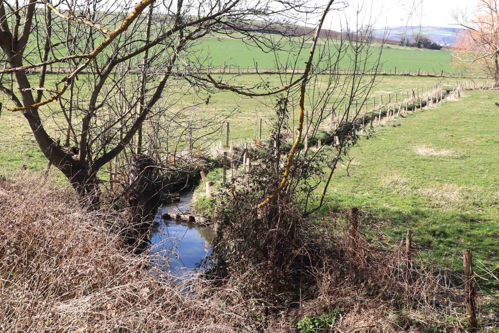 ruisseau encadré par des clôtures