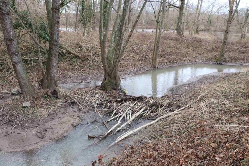 barrage imitation castor sur le Charlet