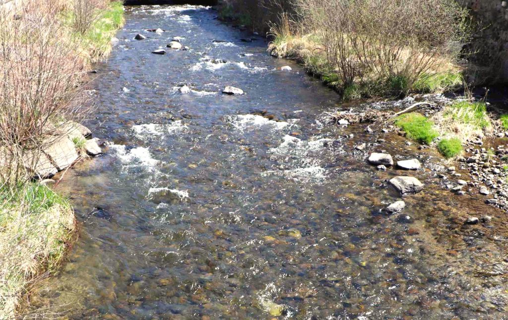 Gros plan sur la Dordogne vers La Bourboule