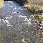 Gros plan sur la Dordogne vers La Bourboule