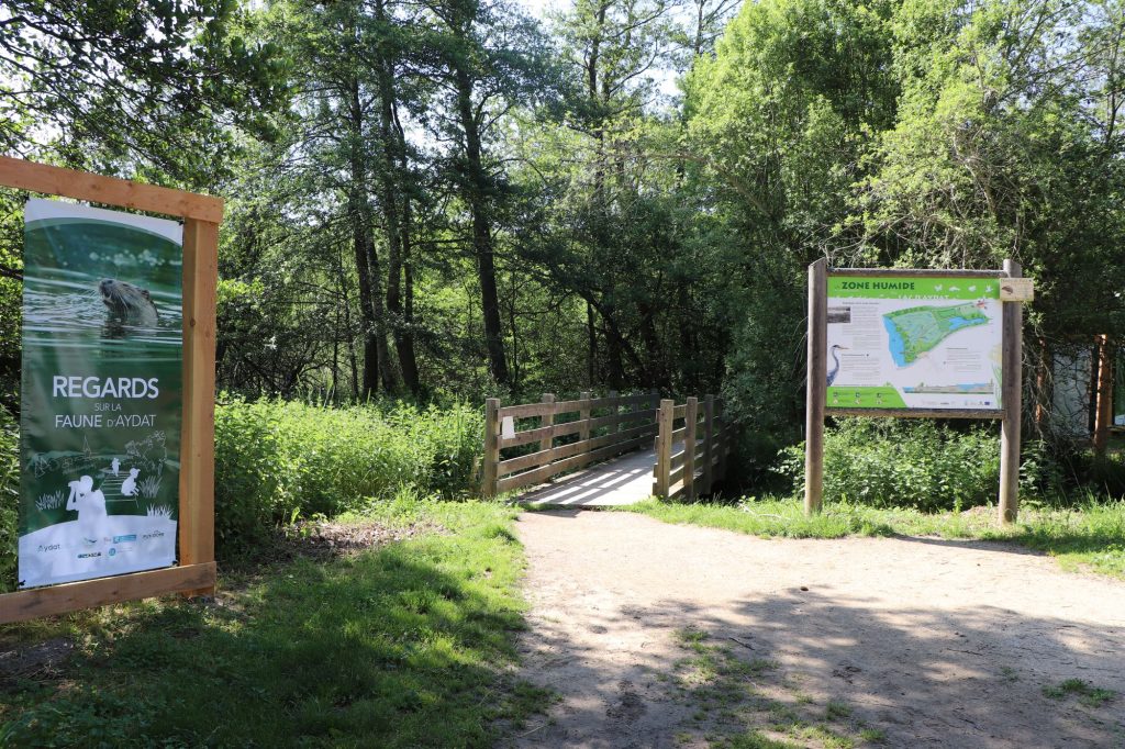 Entréede la zone humide