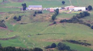 Ferme d'élevage dans le Sancy