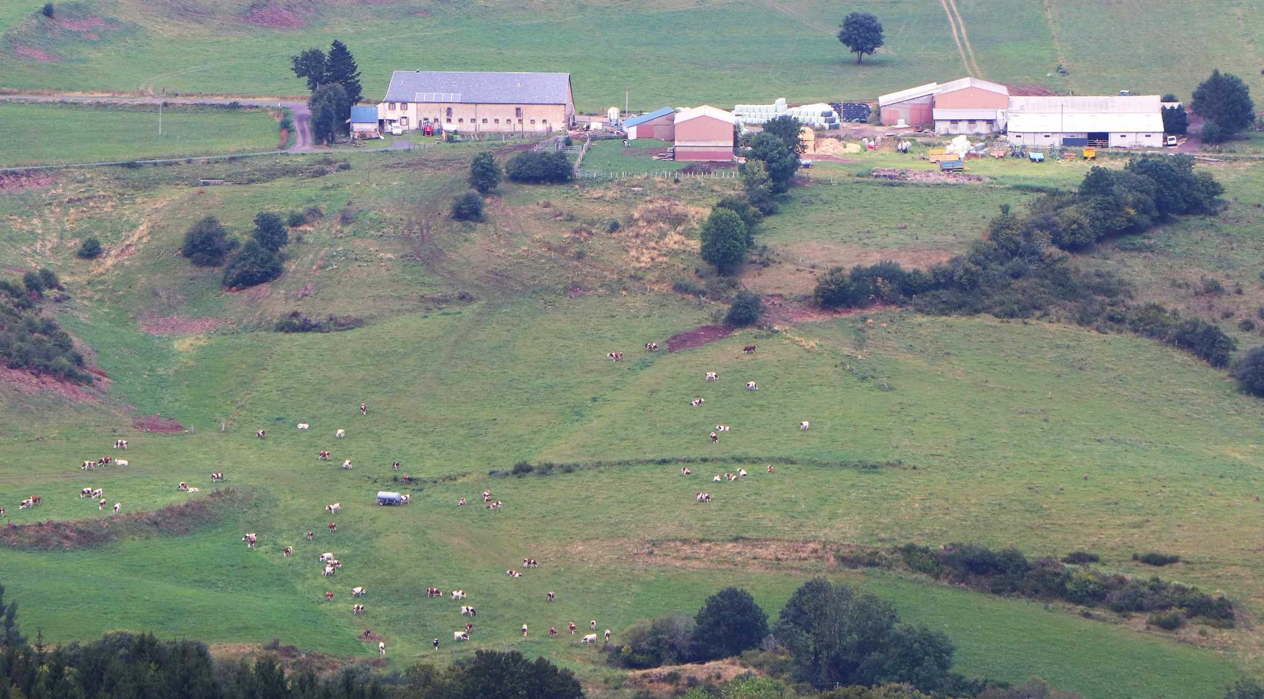 Ferme d'élevage dans le Sancy