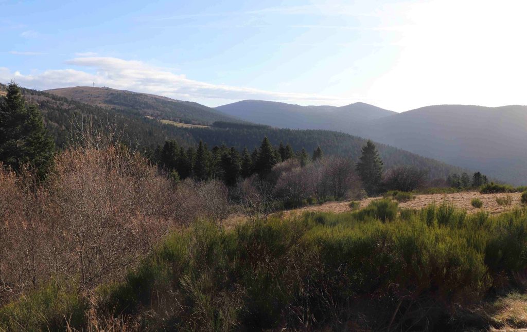 Paysage du Livradois-Forez