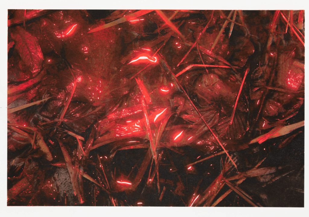 Projet Sorbonne Université Grégoire Delanos