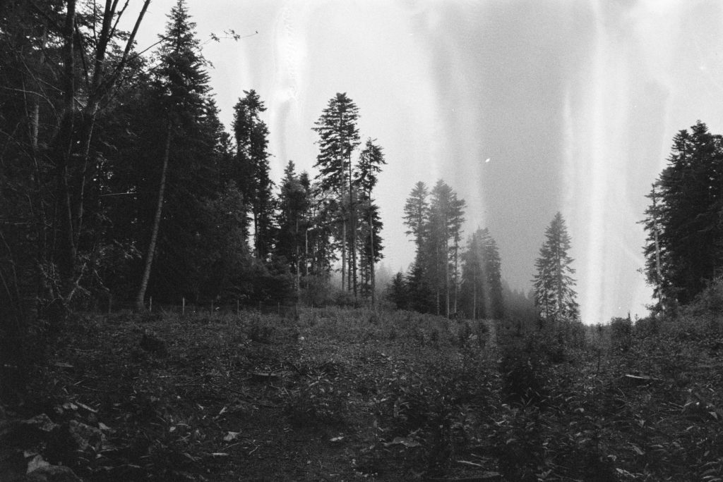 Le Cri série de Grégoire Delanos