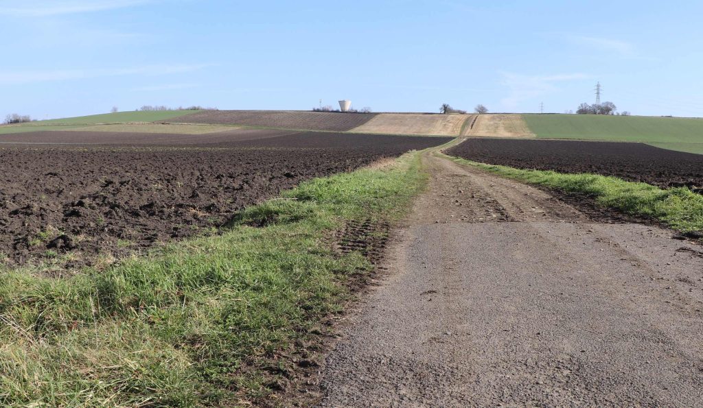 La Limagne aujourd'hui