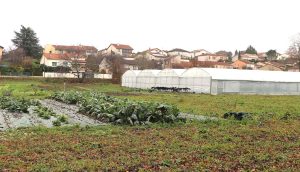 Vue de la Ferme du Rebond et de son environnement pavillonaire